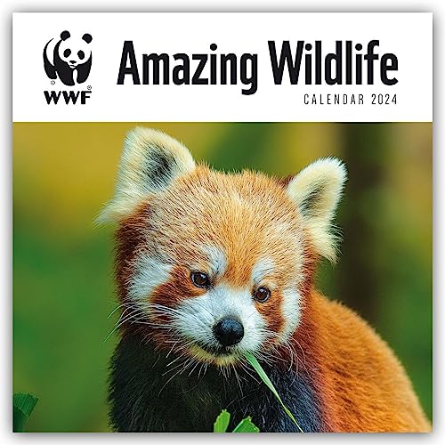 WWF Amazing Wildlife - Faszinierende Tierwelt 2024: Original Carousel-Kalender [Mehrsprachig] [Kalender]