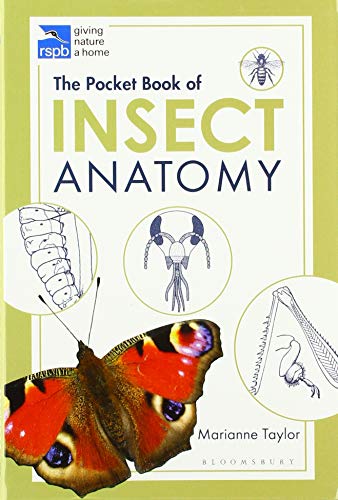 The Pocket Book of Insect Anatomy (RSPB)
