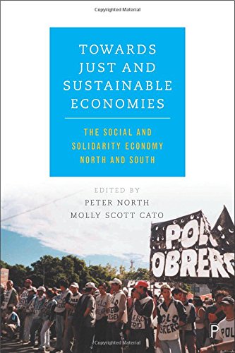 Towards just and sustainable economies: The social and solidarity economy North and South