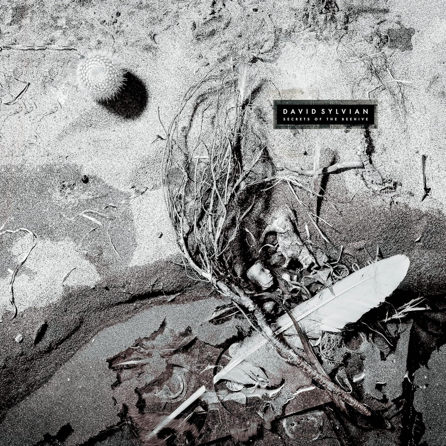 Colour vinyl record in sleeve with David Sylvian's album artwork and label information.