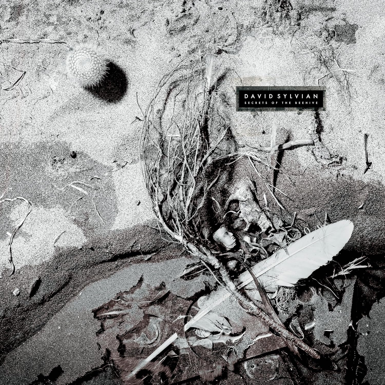 Colour vinyl record in sleeve with David Sylvian's album artwork and label information.