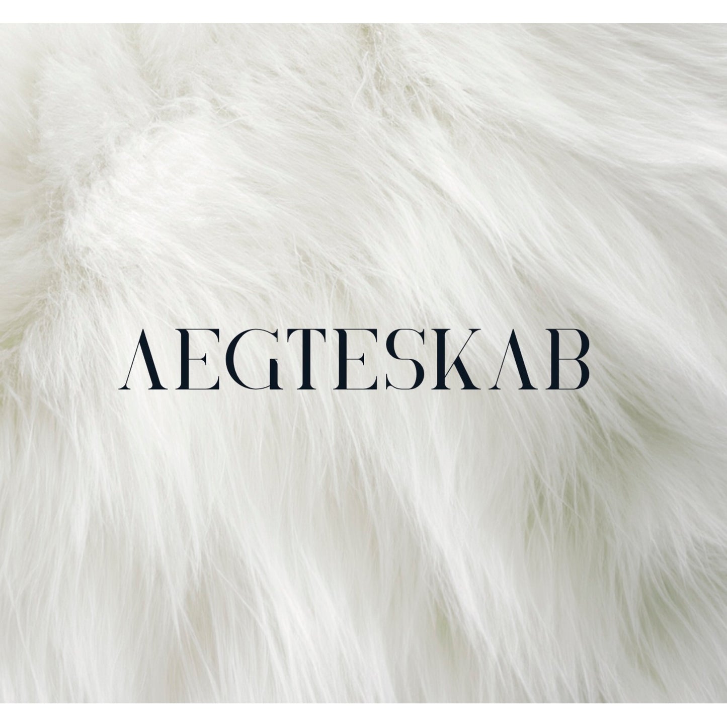 Aegteskab - Aegteskab [VINYL]