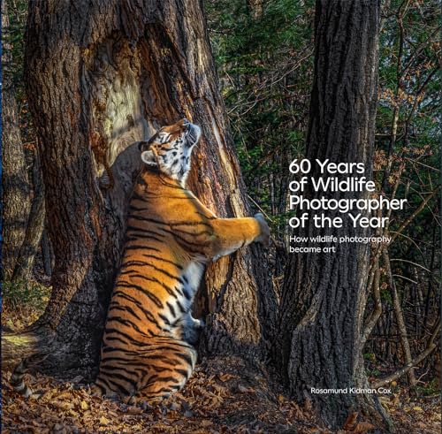 Tiger clinging to a tree on the cover of a photography book.