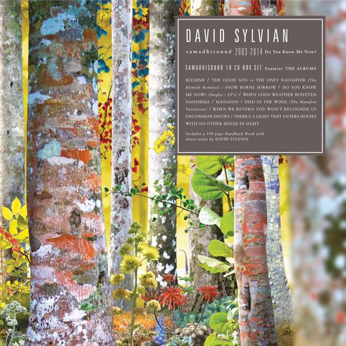 Sylvian David - Sylvian, David / Do You Know Me Now-samadhisound(10cd/book) [cd] [CD]
