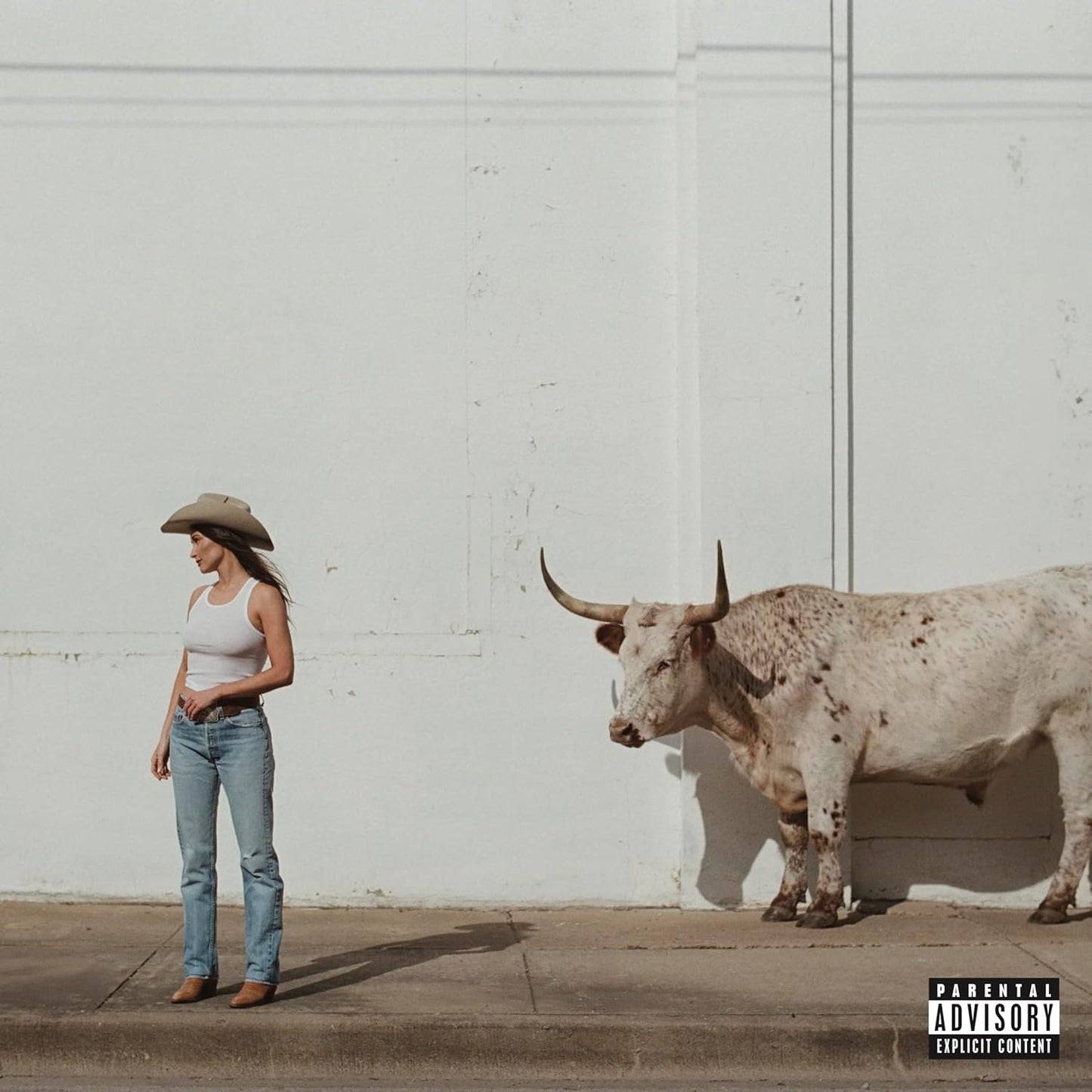 Kacey Musgraves - Middle of Nowhere [CD]