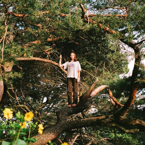 Packs - Melt The Honey (Gold Vinyl) [VINYL]