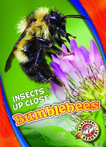 Bumblebees (Insects Up Close)