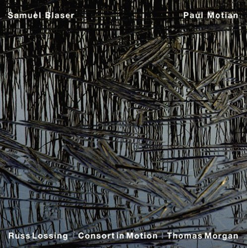 CD cover with abstract black and white line art resembling reeds.