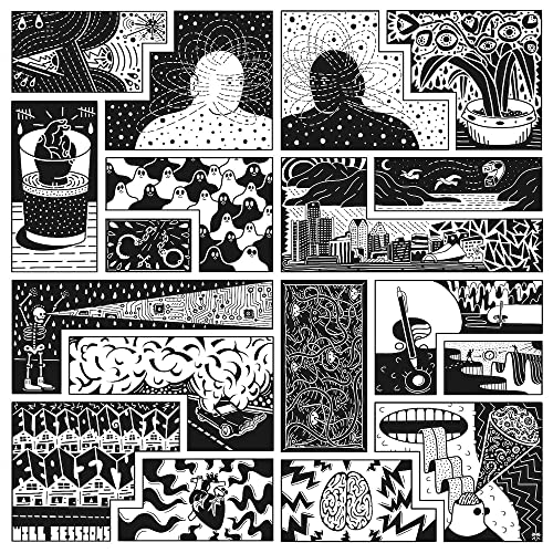 Will Sessions - Electromagnetic Reality [VINYL]