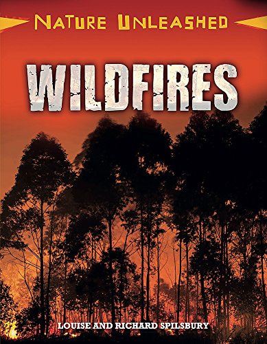 Wildfires (Nature Unleashed)