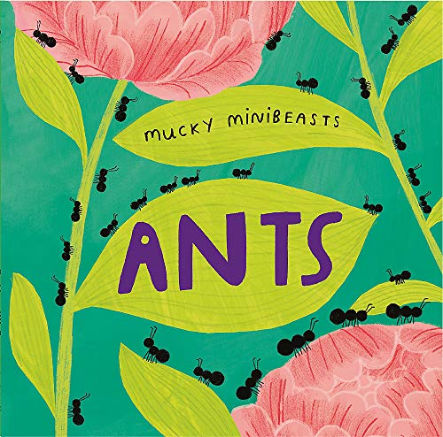 Ants (Mucky Minibeasts)