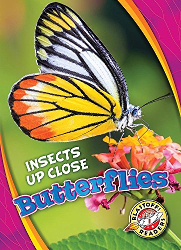Butterflies (Insects Up Close)