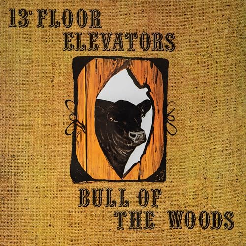 13th Floor Elevators - Psychedelic Sounds [CD]