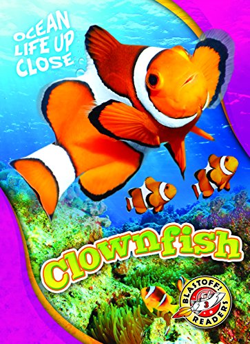 Clownfish (Ocean Life Up Close)