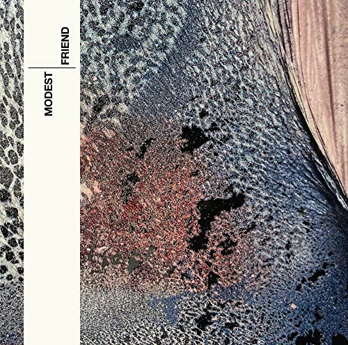 Modest - Friend [VINYL]