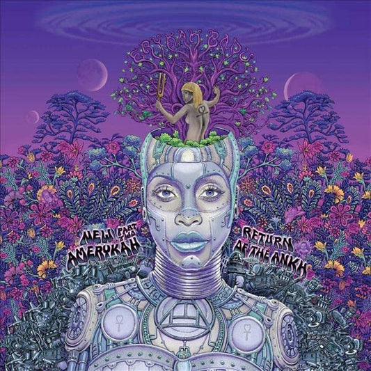 Erykah Badu - New Amerykah Part Two [VINYL]