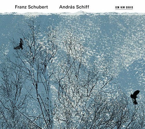 CD cover with silhouetted branches, birds, and a sparkling blue background.