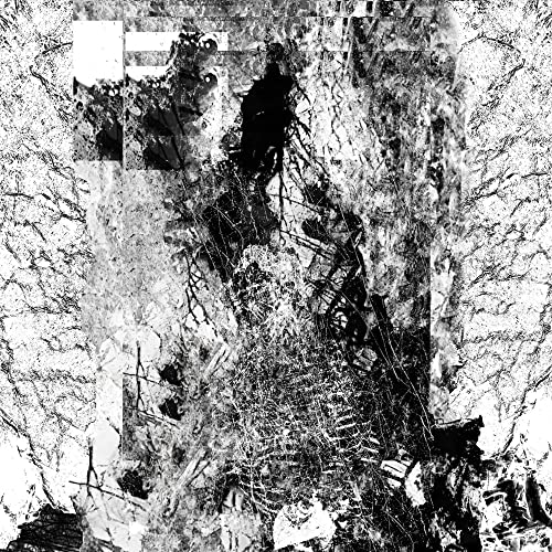 Vessel Of Iniquity - The Path Unseen [CD]
