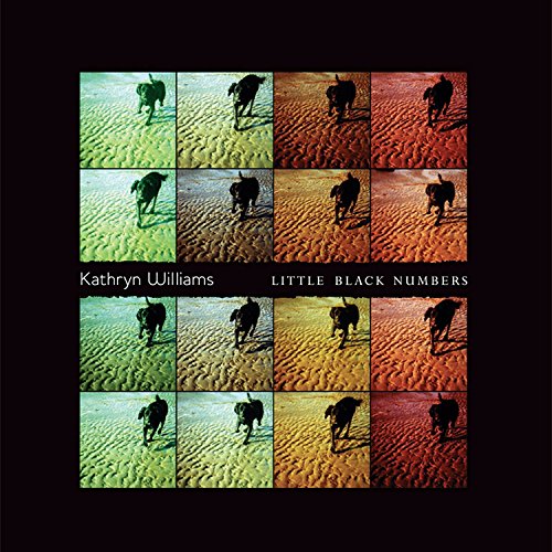 Various - Little Black Numbers [CD]