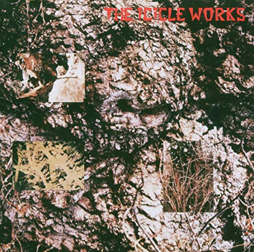 The Icicle Works - Icicle Works, The (Remastered And Expanded) [CD]