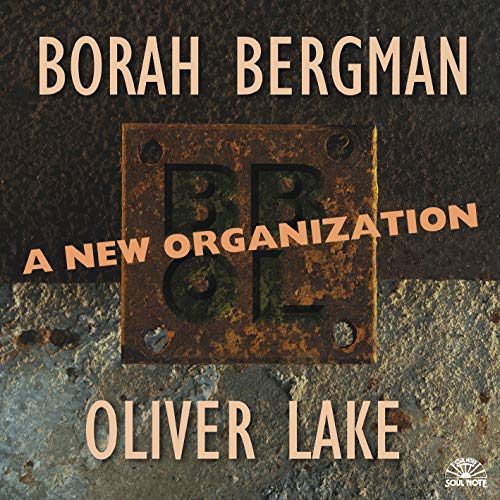 Borah Bergman / Oliver Lake - A New Organisation [CD]