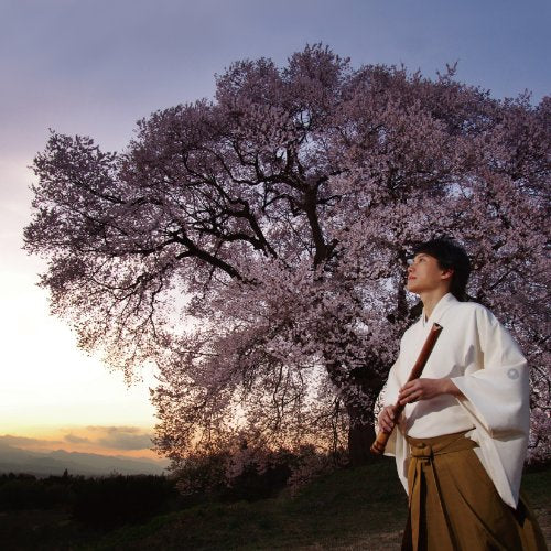 Man in kimono playing a flute under a blossoming cherry tree.