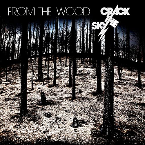 Album cover: stark, black and white forest scene with band name and title.