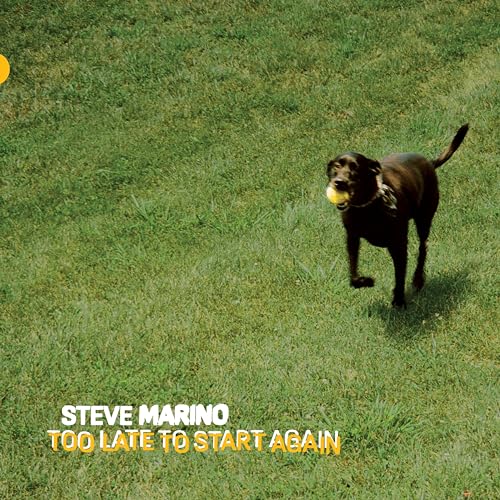 Steve Marino - Too Late To Start Again [VINYL]