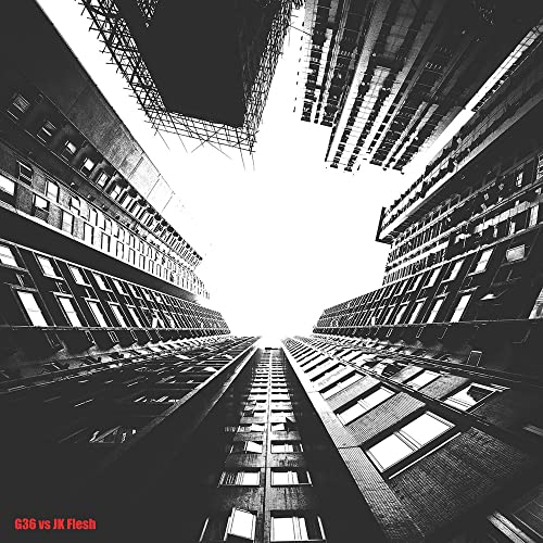 G36 Vs Jk Flesh - Disintegration Dubs [VINYL]