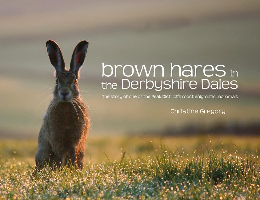 Brown Hares in the Derbyshire Dales : The Story of One of the Peak District's Most Enigmatic Mammals