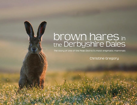 Brown Hares in the Derbyshire Dales : The Story of One of the Peak District's Most Enigmatic Mammals
