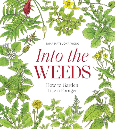 Into the Weeds : How to Garden Like a Forager