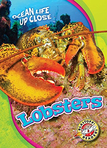 Lobsters (Ocean Life Up Close)
