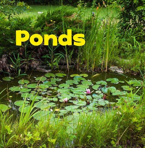 Bodies of Water: Ponds