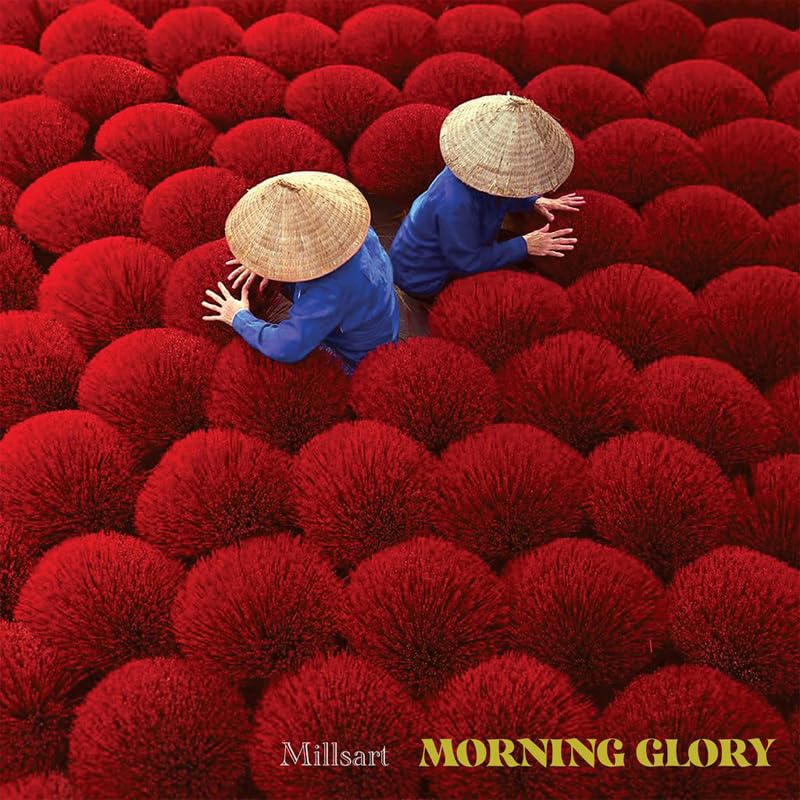 Various - Morning Glory [VINYL]