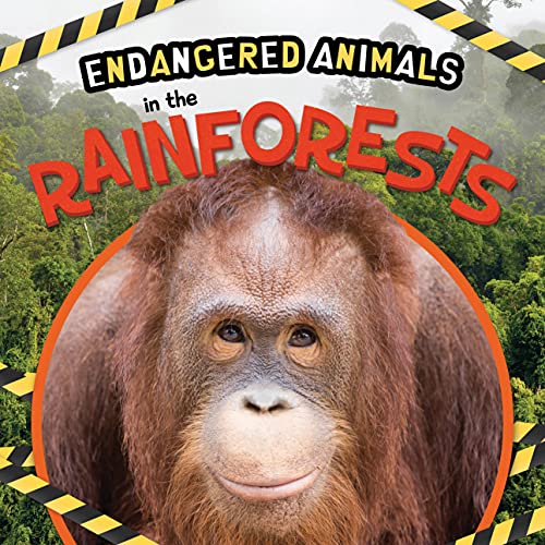 In the Rainforests (Endangered Animals)
