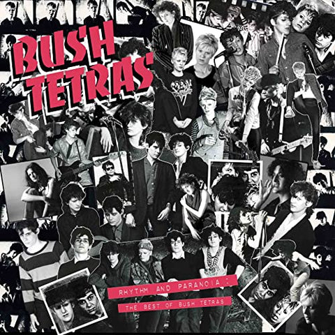 Bush Tetras - Rhythm and Paranoia: The Best of Bush Tetras [CD]