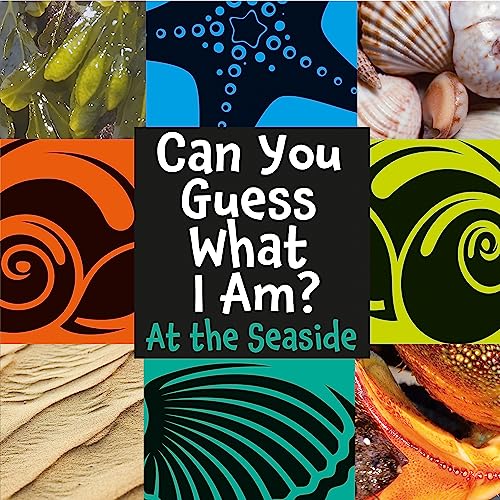 Can You Guess What I Am?: At the Seaside