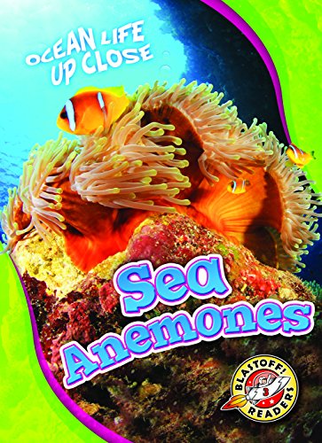 Sea Anemones (Ocean Life Up Close)