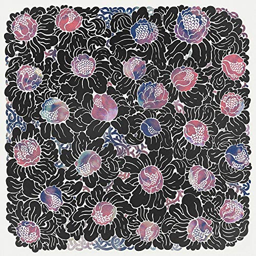 Other Colors - Natural Motion [CD]
