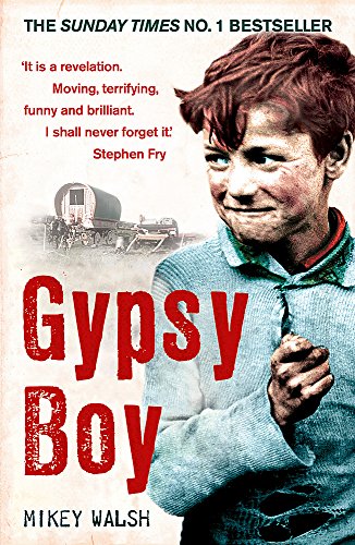 Gypsy Boy: The bestselling memoir of a Romany childhood