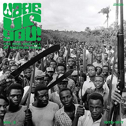 Various - Wake Up You! (Vol. 2) The Rise & Fall Of Nigerian Rock Music (1972-1977) [VINYL]