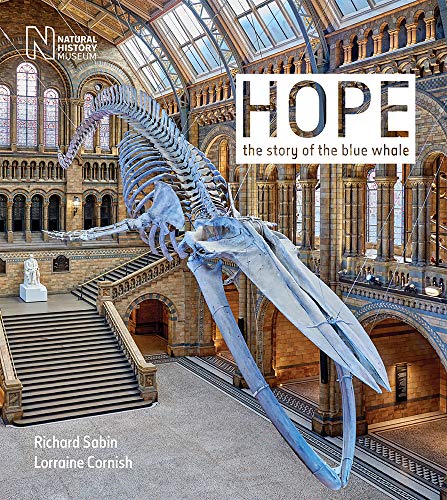 Hope : The story of the blue whale