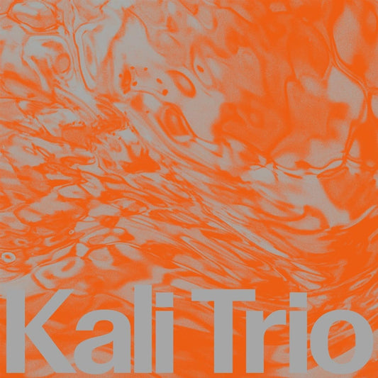Kali Trio - The Playful Abstract [VINYL]
