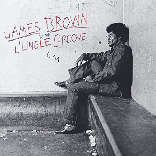 James Brown album cover: portrait of the singer seated against a wall.