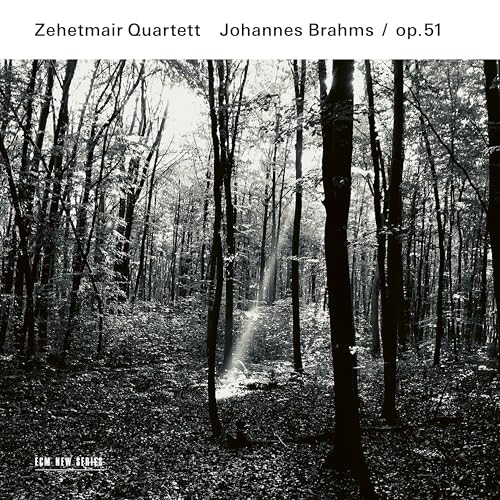 ZEHETMAIR QUARTETT - ZEHETMAIR QUARTETT - BRAHMS 51 [CD]
