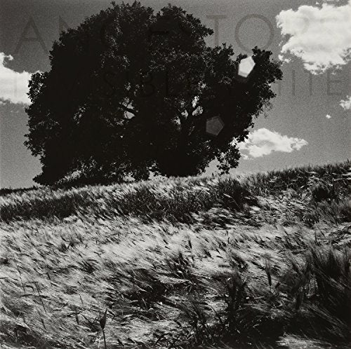 Ancestors - Invisible White  [VINYL]