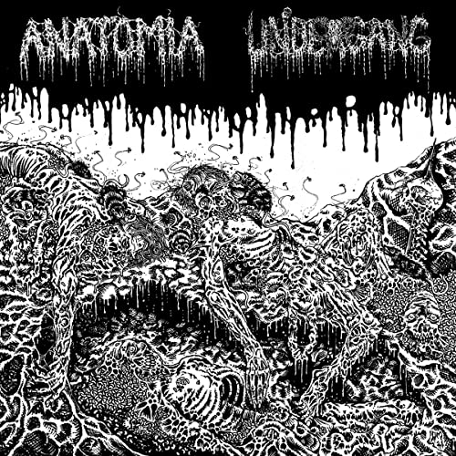 Undergang / Anatomia - Split  [VINYL]