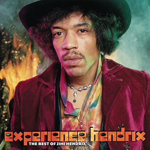 The Jimi Hendrix Experience - EXPERIENCE HENDRIX: THE.. [VINYL]