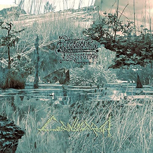 Rigorous Institution - Cainsmarsh [CD]